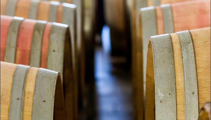  San Valentino Azienda Agricola Bio